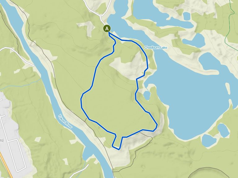 Log Trail loop — Whitehorse | randonnée pédestre | Komoot